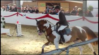 Bonanza von Baloubet du RouetSamico 2010 [upl. by Lehcear236]