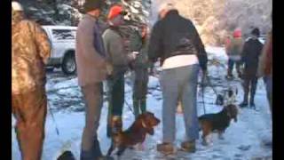 Hunting Basset Hounds [upl. by Weksler]