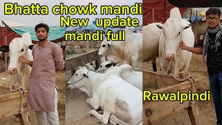 bhatta chowk mandi 2024 New update mandi full rawalpindi Islamabad mandi [upl. by Giacopo]