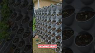 Grow vegetables at your balcony with this growvegetables growingbags farming agritechvista [upl. by Atteiram]