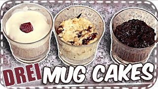 3 MUG CAKES  Oatmeal Nutella Chocolate Chunk amp Raspberry Sour Cream im Test  DoItLisa [upl. by Haveman]