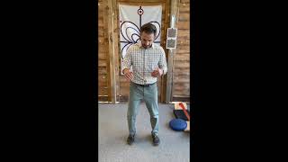 Lower Extremity Propioception Exercises [upl. by Rawden49]