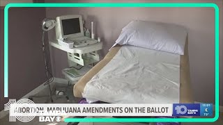 Florida Supreme Court Abortion recreational marijuana to appear on November 2024 ballot [upl. by Robert]