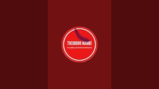 Tocororo Mambi [upl. by Fulbright330]