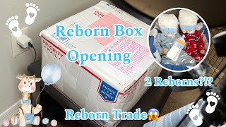 Adorable Reborn Box Opening 👶🏻💙🍼 [upl. by Ahsienad]