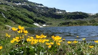 Lac de Pormenaz 2016 [upl. by Lavery]