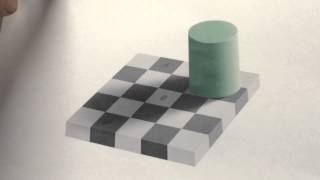 Checkerboard Illusion [upl. by Buskirk]