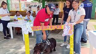 INICIA JORNADA DE VACUNACION CANINA EN LA COLONIA ITZA DE SAN BENITO PETÉN GUATEMALA 🇬🇹 [upl. by Naelcm]