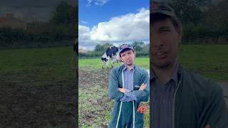 Partie 9 qui remportera le cœur de JeanJacky 💥🐄 parodie humour maman [upl. by Pinelli]