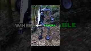 Chinas Unstoppable AllTerrain RoboDog on Wheels [upl. by Naejamron]