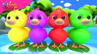 5 Little Ducks song  BluLoo Nursery Rhymes amp Kids Songs [upl. by Hafital]