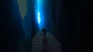 Cave Diving In The South Pacific [upl. by Fianna]