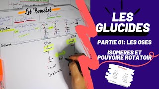 📣 Biochimie  2 LES GLUCIDES PARTIE 01  Les Oses  Les isomères 👌 SNVUSTHBBIOCHIMIEMEDECINE [upl. by Leilani]