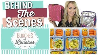 The Story Behind BUNCHES of LUNCHES  Answering YOUR Questions [upl. by Dianthe749]