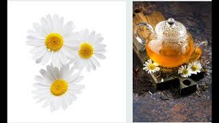 Health benefits of Chamomile Tea ☕ [upl. by Darline]