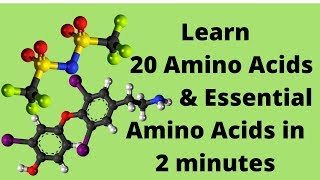 The 20 Amino Acids and Essential Amino Acids Mnemonic [upl. by Korns]