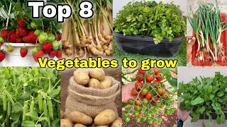 Top 8 vegetables we can grow at home  Garden  The one page English cc [upl. by Chansoo680]