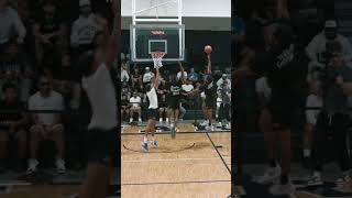 Almost Touching Top Of The Backboard With 2 Hands Is RIDICULOUS [upl. by Wexler990]