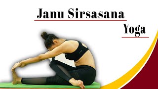 StayFitz Presents Janu Sirsasana – HeadtoKnee Forward Bend for Flexibility and Relaxation [upl. by Moyra]