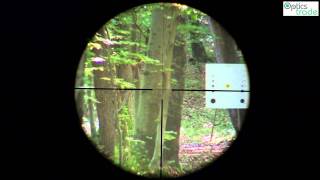 Burris Four X 312x56 Reticle 4LP  Optics Trade Reticle Subtensions [upl. by Arimas502]