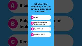 Which of the following is not an antigenpresenting cell APC [upl. by Materi]