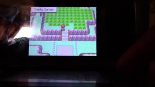 How to catch porygon castform chansey ect in pokemon DiamondPearl [upl. by Aicilihp]