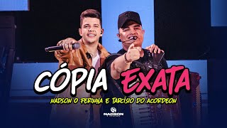 Nadson O Ferinha e Tarcísio do Acordeon  Cópia Exata Clipe Oficial [upl. by Zelma611]