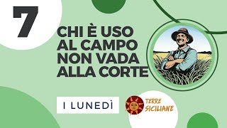 Chi è Uso al Campo non vada alla Corte 7 [upl. by Nadean]