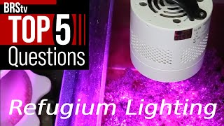 5 Answers to Get MORE Out of Your Reef Tank’s Refugium Light [upl. by Bell]