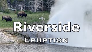 Eruption of Riverside Geyser  Yellowstone  RV Adventures [upl. by Nageek]