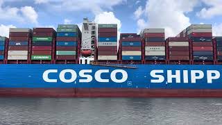 COSCO SHIPPING for all your ports needs and wants [upl. by Arihsak]