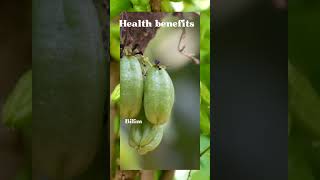 Benefits of bilimbi fruit [upl. by Orman]