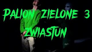 PALION  ZIELONE 3 ZWIASTUN OFFICIAL MUSIC VIDEO [upl. by Auburta28]