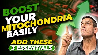 Boost Your Mitochondria Easily Add These 3 Essentials [upl. by Catlaina944]