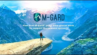 How Does MGard® work [upl. by Gnat]