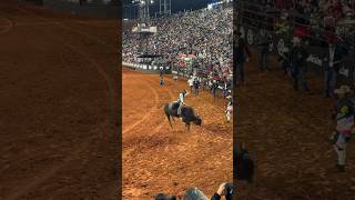 Final do Barretos International Rodeo 2024 [upl. by Nate792]