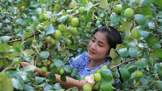 Big Jujube Fruit  Easy amp Yummy Jujube Fruit Recipe  Prepare By Countryside Life TV [upl. by Ninon424]