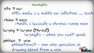 Medical Terminology the easy way [upl. by Dory518]