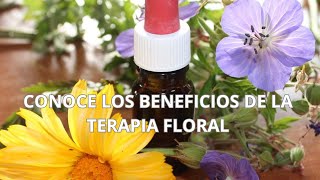 DESCUBRE Los INCREÍBLES BENEFICIOS De LA TERAPIA FLORAL DE BACH I CREA Tu FUTURO [upl. by Solohcin]