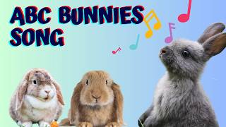 Bouncing Bunnies AZ  Fun Alphabet Song for Kids About Cute Little Bunnies Hopping [upl. by Lemcke398]