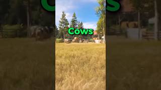 The Craziest Mission In Far Cry 5 [upl. by Alekahs744]