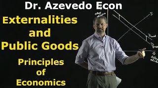 Chapters 10 and 11 Externalities and Public Goods [upl. by Letizia]