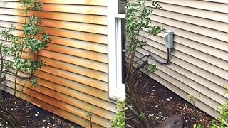 Rust stain removal  hard water stain removal on house siding and other surfaces [upl. by Spoor]