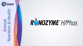 RONOZYME® HiPhos Launch  The Feed Enzymes Discovery Timeline [upl. by Sherrod]