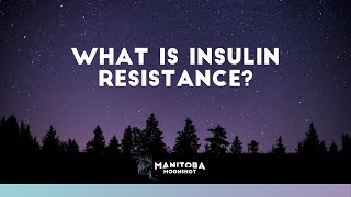 What Is Insulin Resistance [upl. by Rogozen]