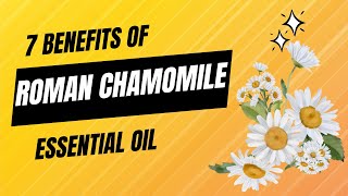 7 Incredible Benefits of Chamomile Essential Oi [upl. by Venezia]