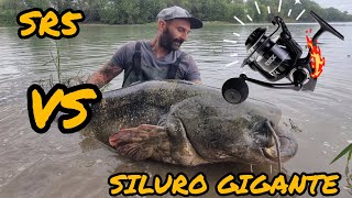 MULINELLO SR5 VS PESCE SILURO GIGANTE A SPINNING by Zeck Fishing Italia [upl. by Aisinoid11]