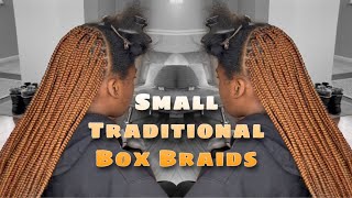 Traditional Small Box Braids Using “Auburn” Hair Blend [upl. by Anicnarf]