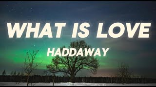 Haddaway  What Is Love lyrics [upl. by Vins]