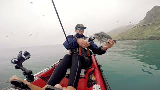 KAYAK FISHING in BIG SUR California for Vermilion Rockfish  Limekiln [upl. by Nosreve]